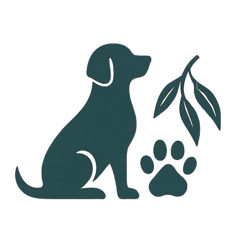 Untitled design-11 Untitled design-11